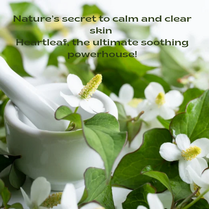 Anua Heartleaf LHA Moisture Peeling Gel