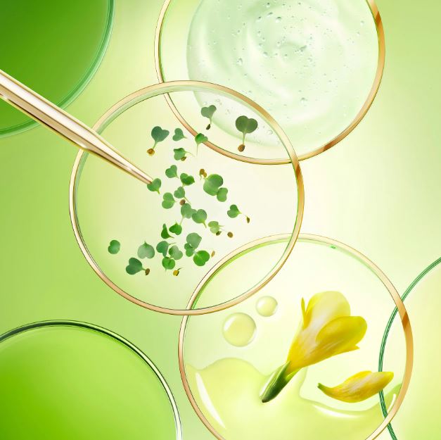 Close-up of green leaves and a yellow flower in circular frames on a green background