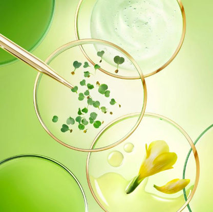 Close-up of green leaves and a yellow flower in circular frames on a green background