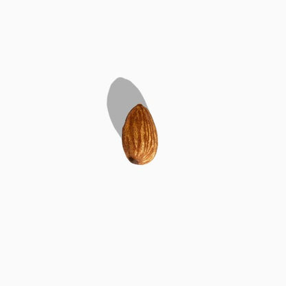Single almond on a white background