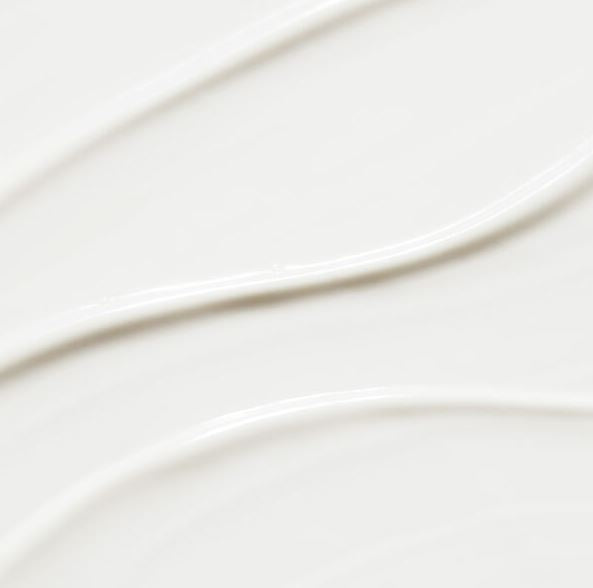 Close-up of a white ceramic plate with a subtle wave pattern