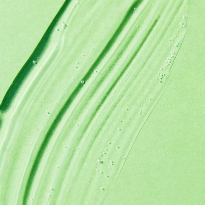 Close-up of a green paint swatch with visible texture
