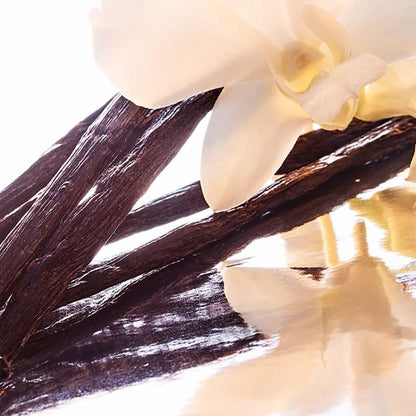 Vanilla beans with a white flower on a reflective surface