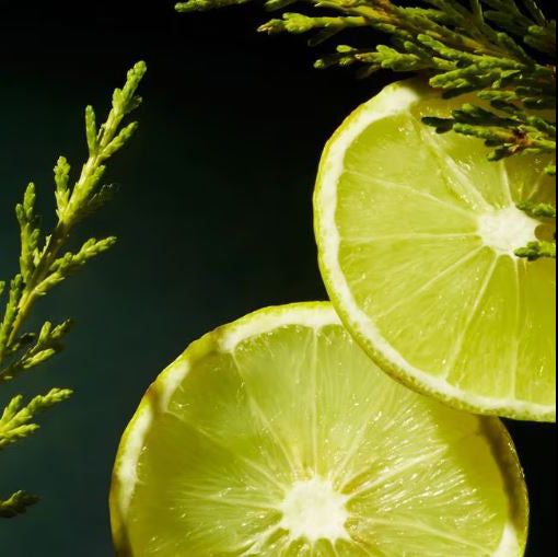 Two slices of lime with green leaves on a dark background