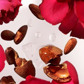 Almonds on a white background with red flowers