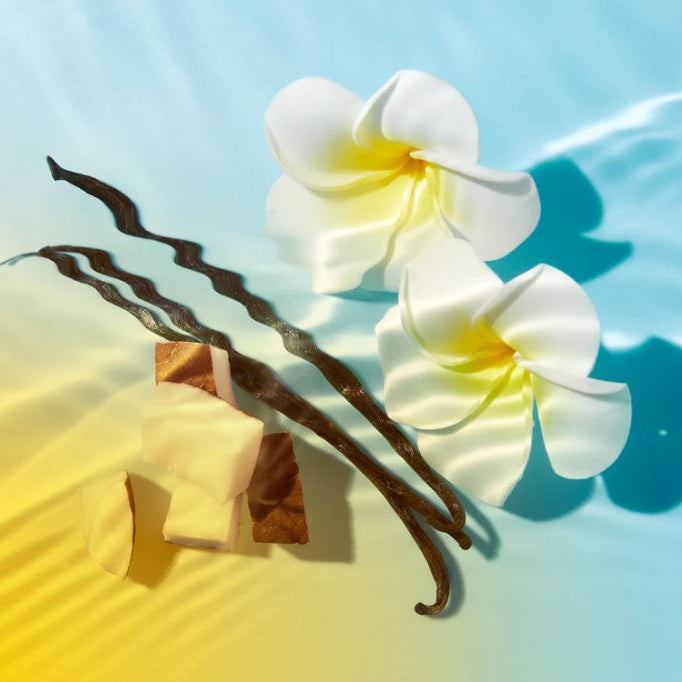 Two vanilla beans and a white flower on a gradient background